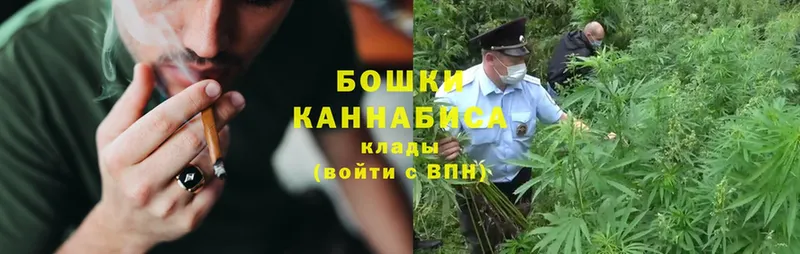 купить наркотик  Валуйки  Канабис Ganja 